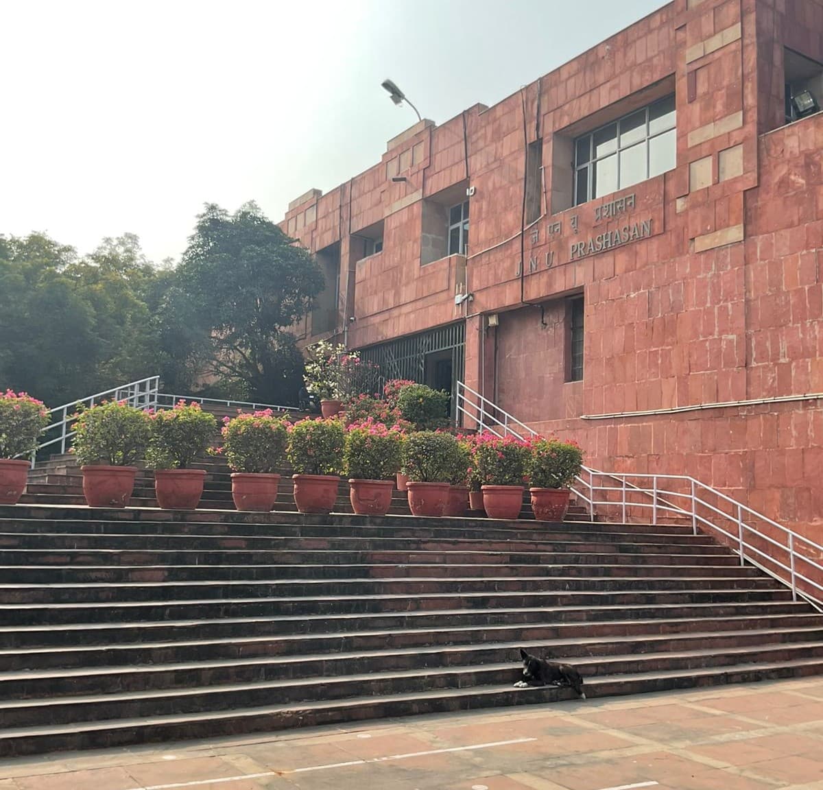 JNU campus photo 8